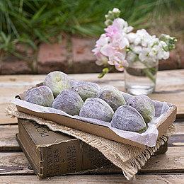 《妖刀退魔忍》免费试玩版现已在Steam推出